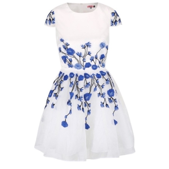 Chi Chi London Floral Embroidered Cap Sleeve
Dress NWT Sz 4 - Picture 5 of 10